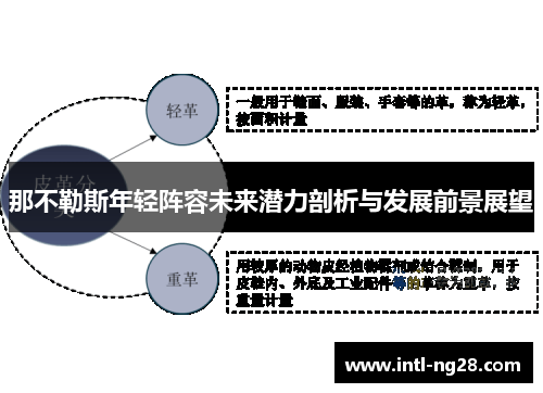 那不勒斯年轻阵容未来潜力剖析与发展前景展望