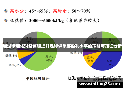 通过精细化财务管理提升足球俱乐部盈利水平的策略与路径分析